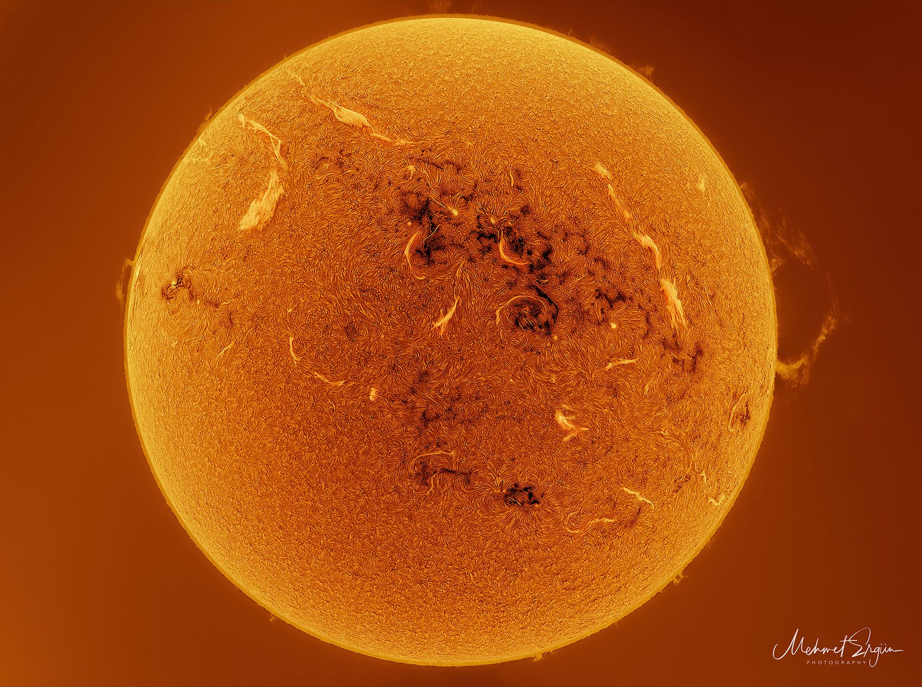 H-Alpha-Aufnahme der Sonne mit Protuberanzen und Filamenten, Mehmet Ergün. Nicht mit einem hier angebotenen Teleskop fotografiert.